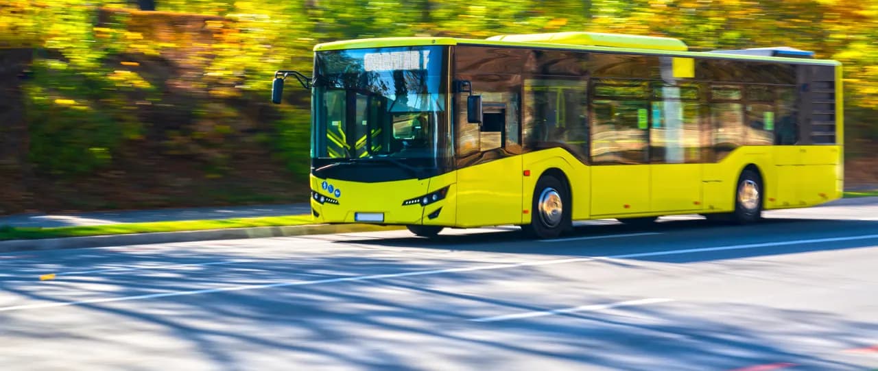 Buss Buss